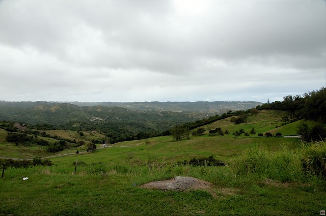 img00022.jpg
