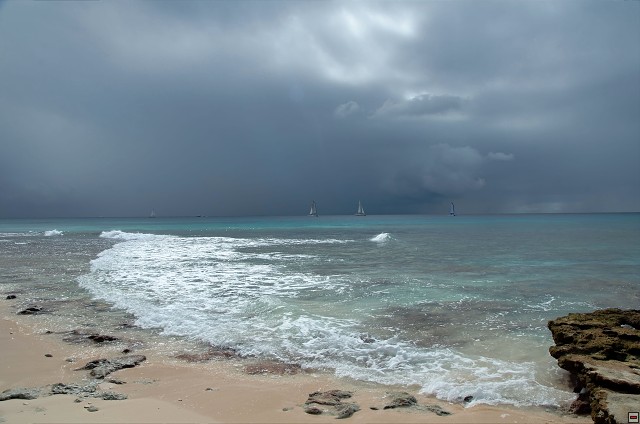 img00024.jpg