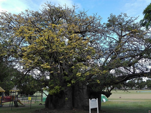img00027.jpg