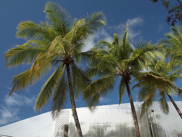 img00013.jpg