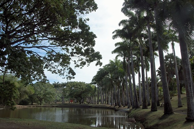 img00014.jpg