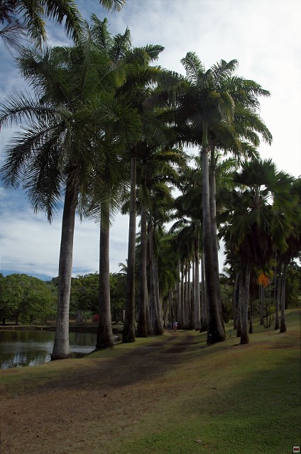 img00015.jpg