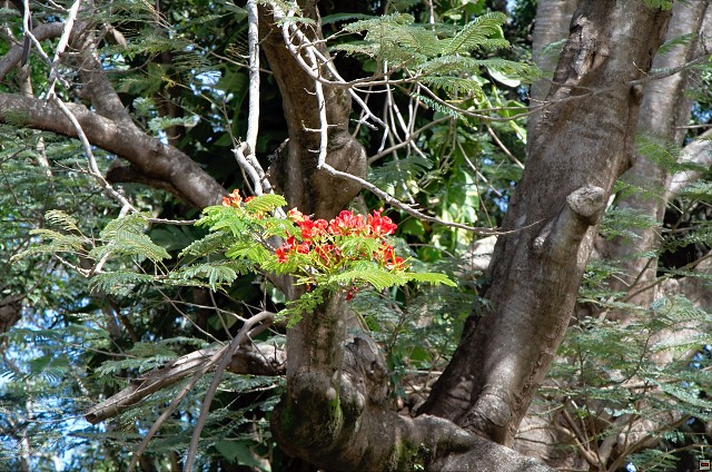 img00023.jpg