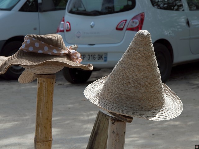 img00041.jpg