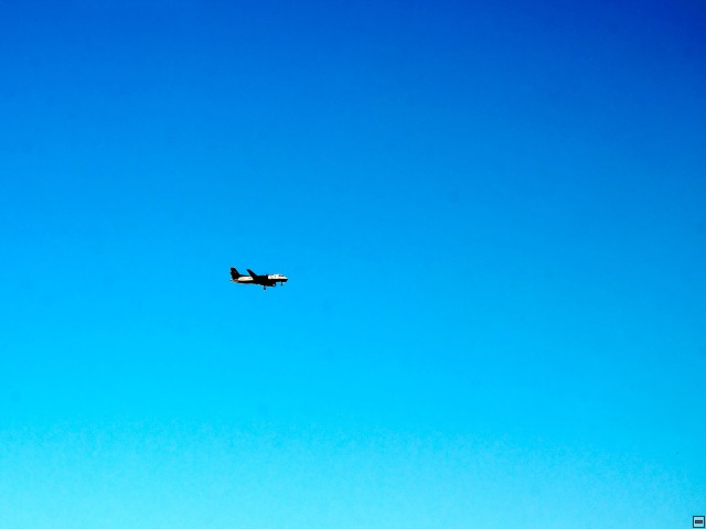 img00008.jpg