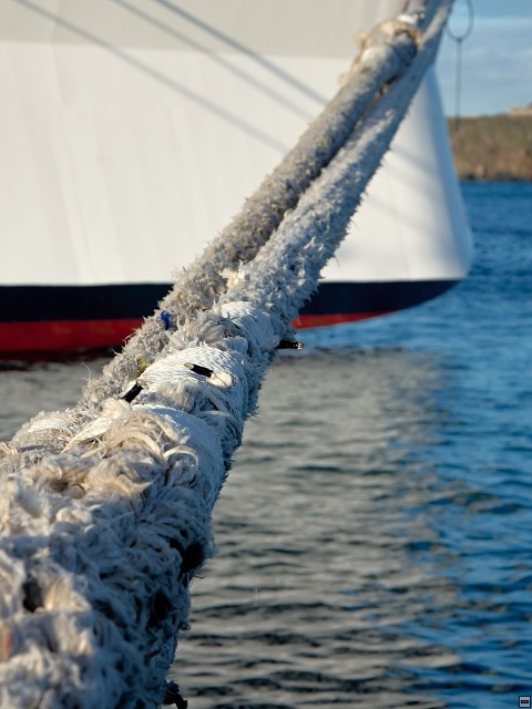 img00003.jpg