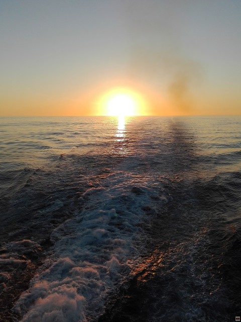 img00001.jpg
