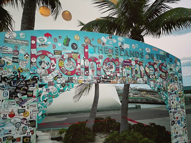 img00026.jpg