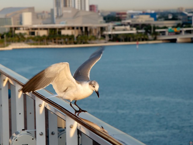 img00005.jpg