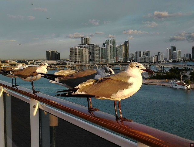 img00007.jpg