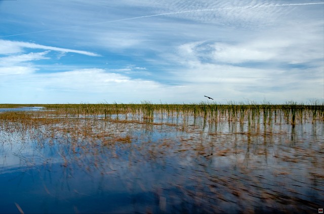 img00015.jpg