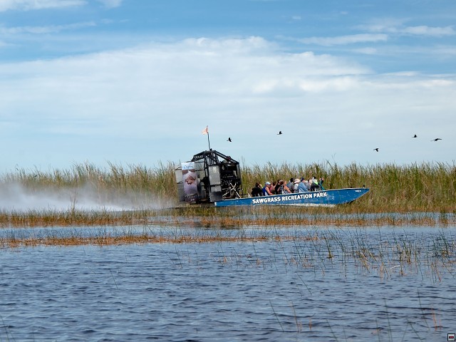 img00016.jpg