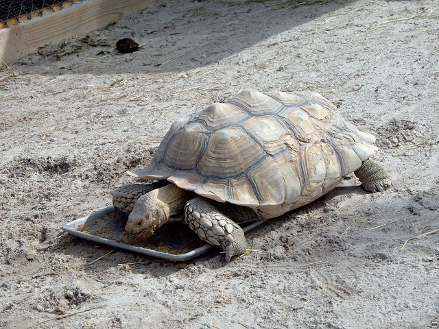 img00025.jpg
