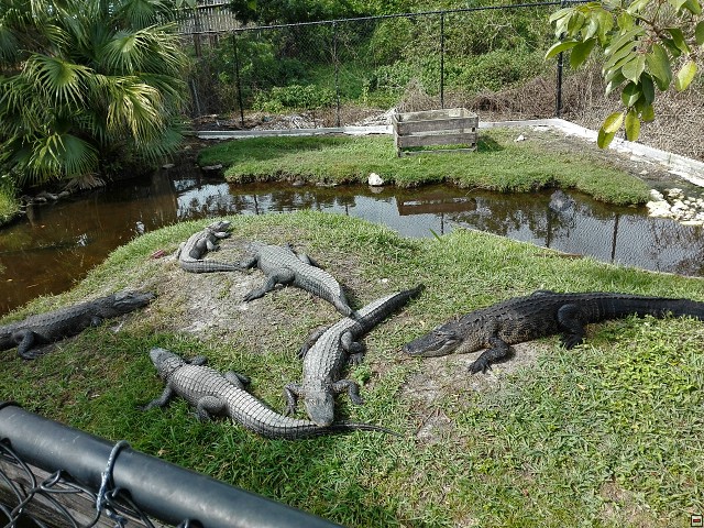 img00030.jpg