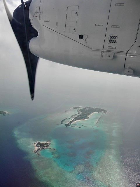 img00003.jpg