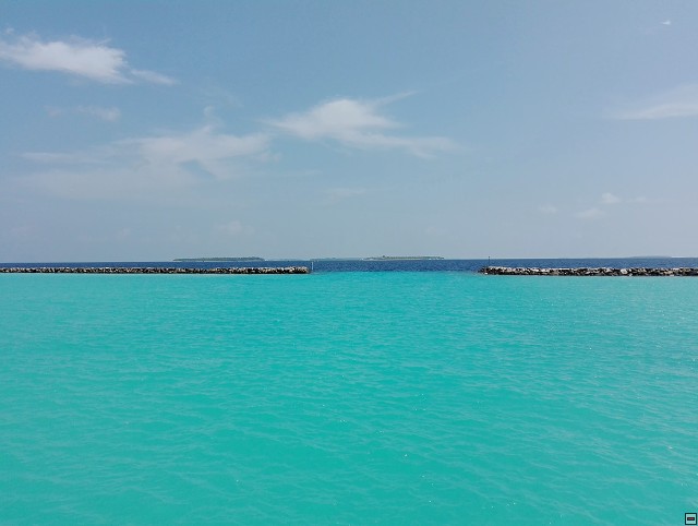 img00008.jpg