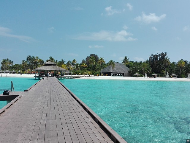 img00009.jpg