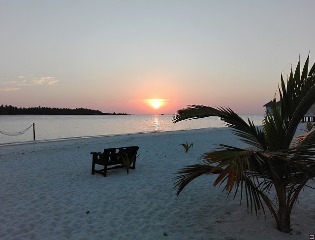 img00011.jpg