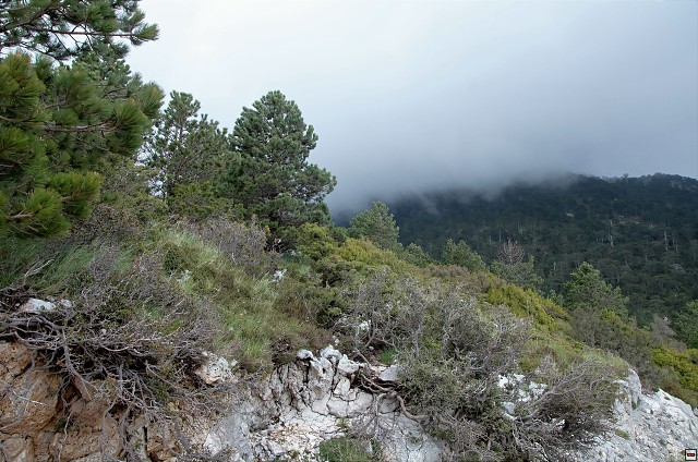 img00007.jpg