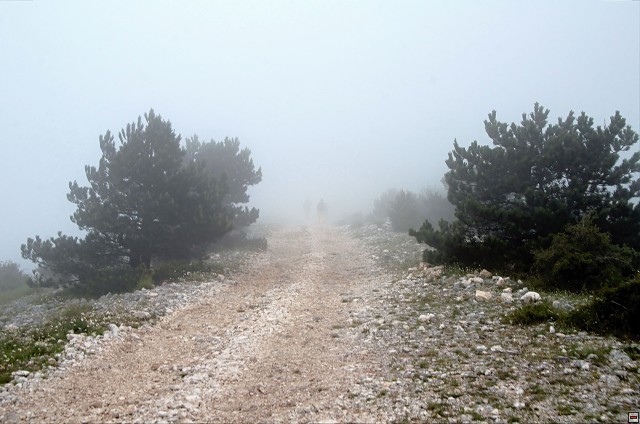 img00012.jpg