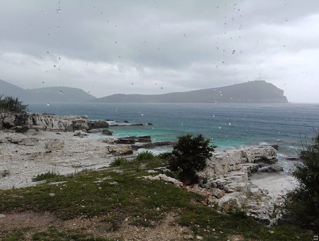 img00005.jpg