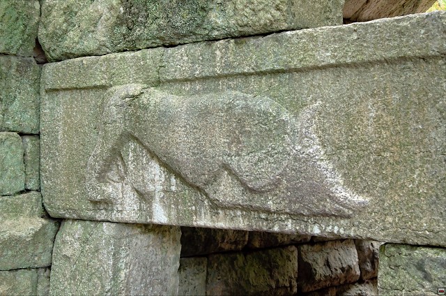 img00010.jpg