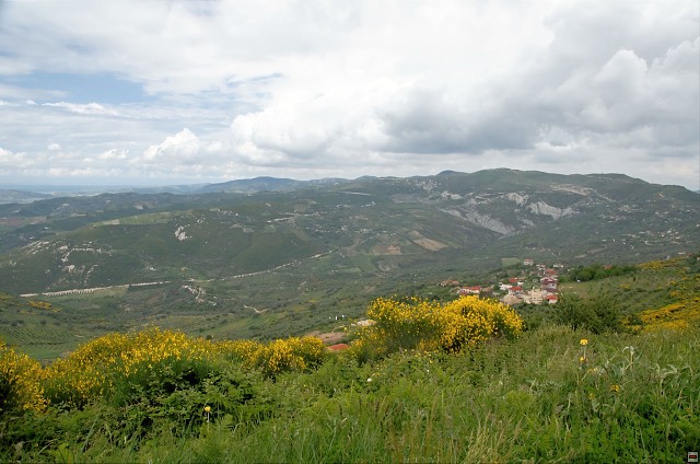 img00004.jpg