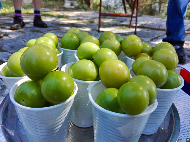img00012.jpg
