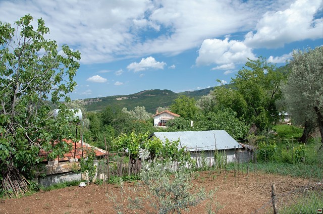 img00003.jpg