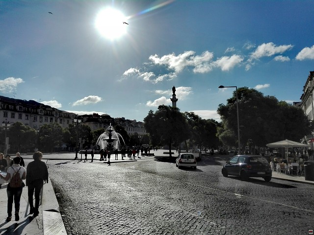 img00005.jpg