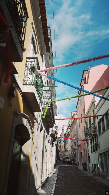 img00011.jpg
