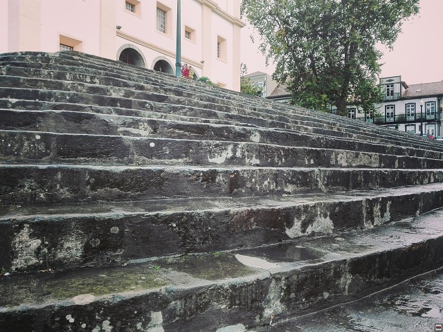 img00009.jpg