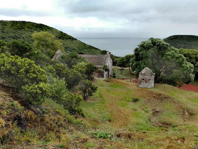 img00018.jpg