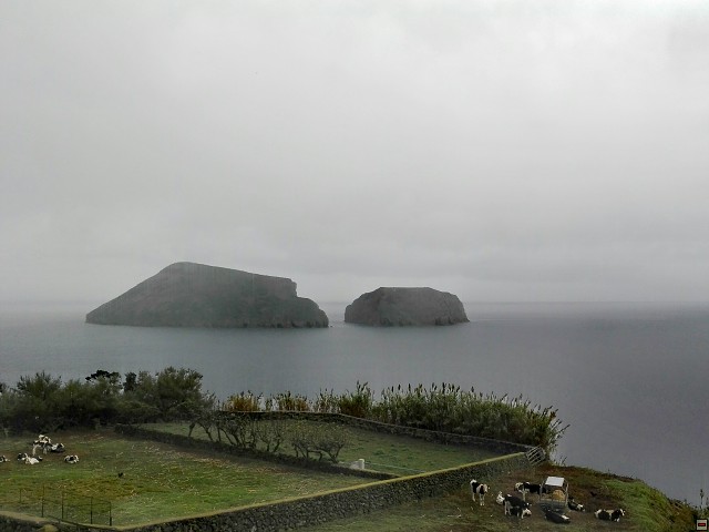 img00019.jpg