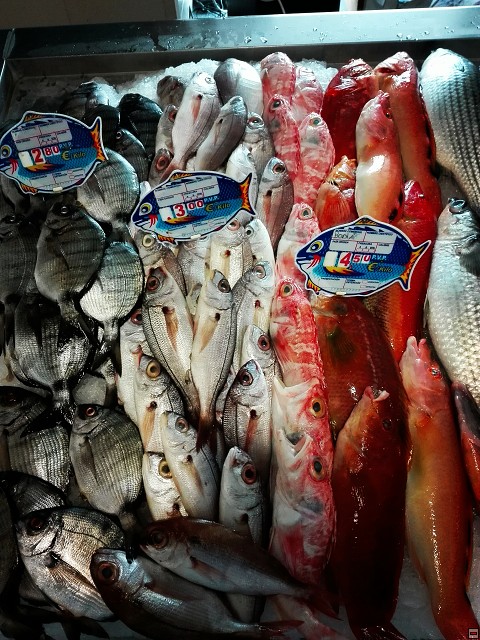 img00022.jpg