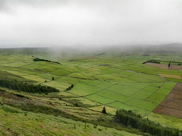 img00025.jpg