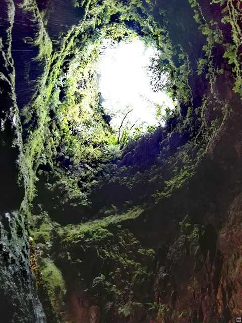 img00028.jpg