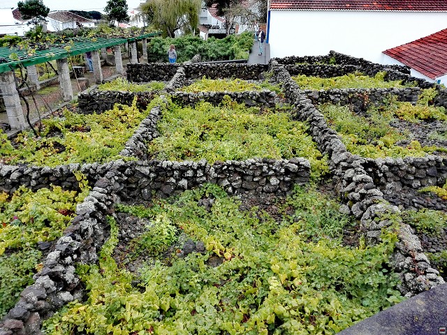 img00032.jpg
