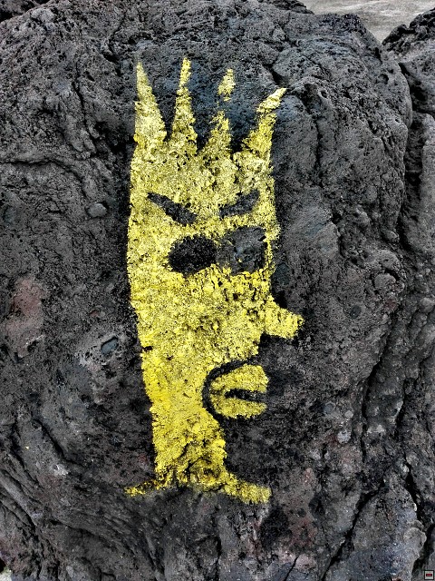 img00035.jpg