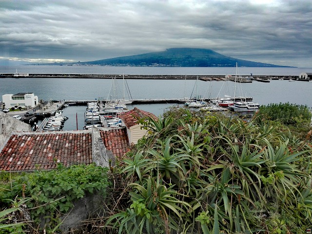 img00017.jpg