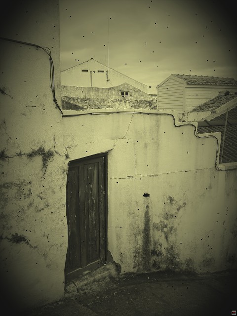 img00018.jpg