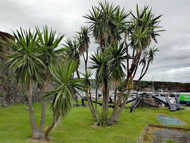 img00020.jpg