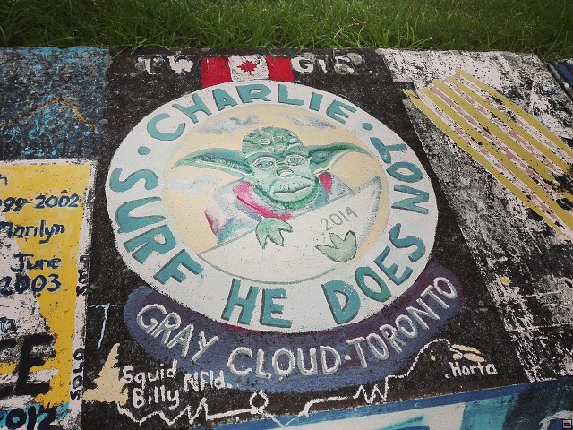 img00022.jpg
