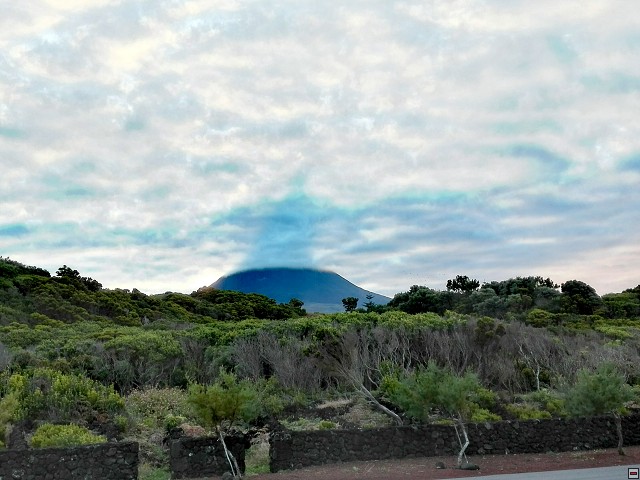 img00011.jpg