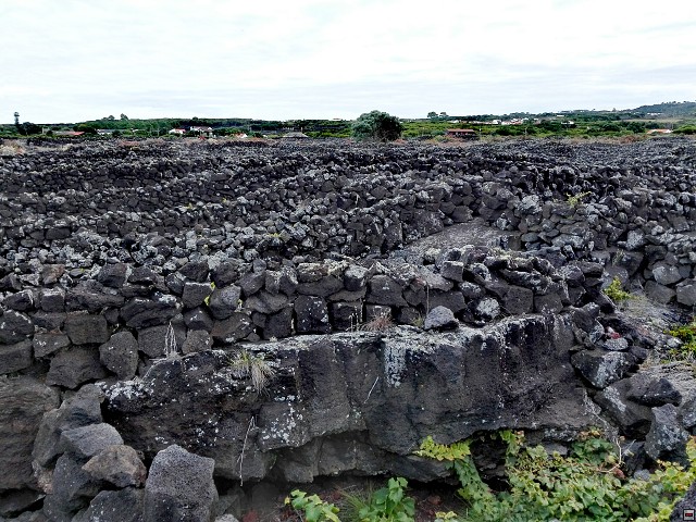 img00012.jpg