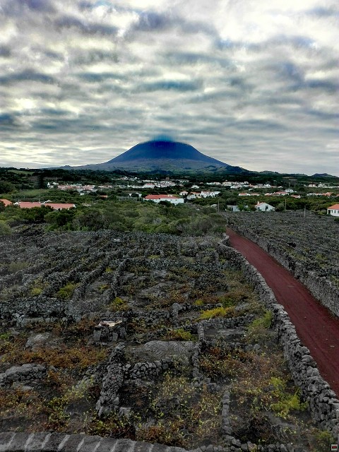img00015.jpg
