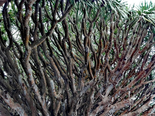 img00022.jpg