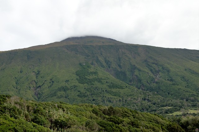 img00026.jpg