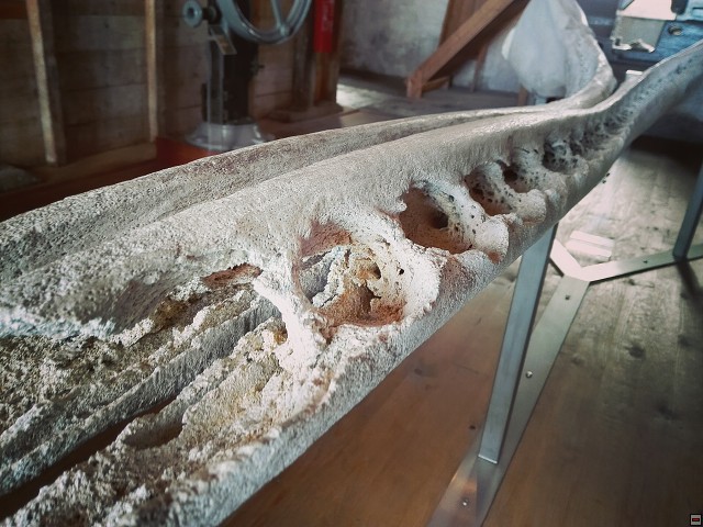 img00040.jpg