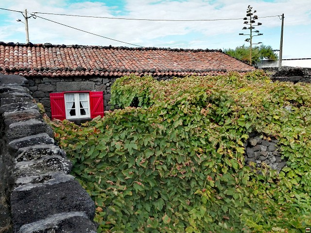 img00045.jpg